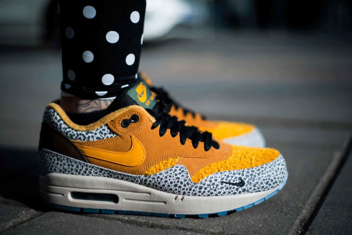 am1 safari