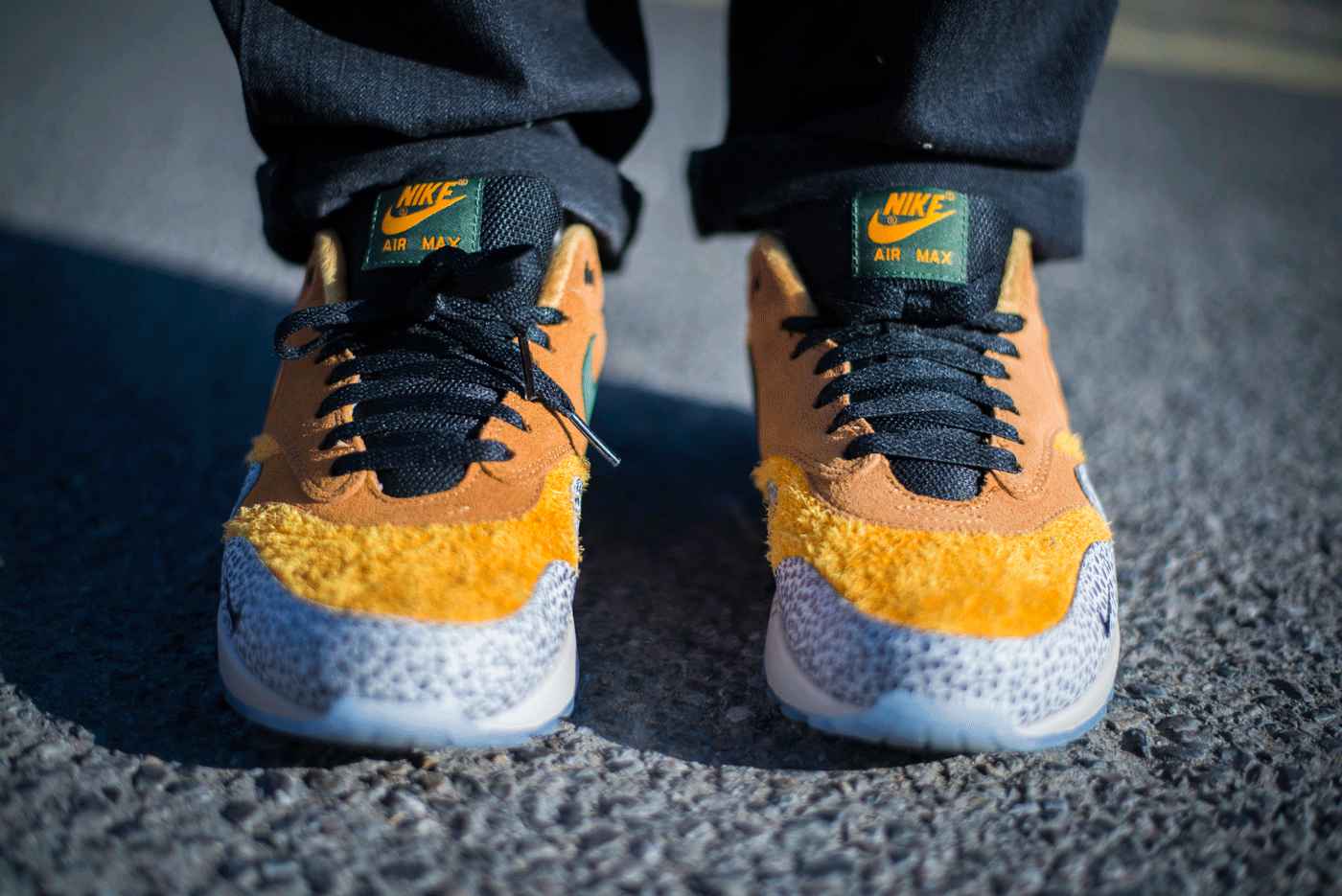 am1 safari