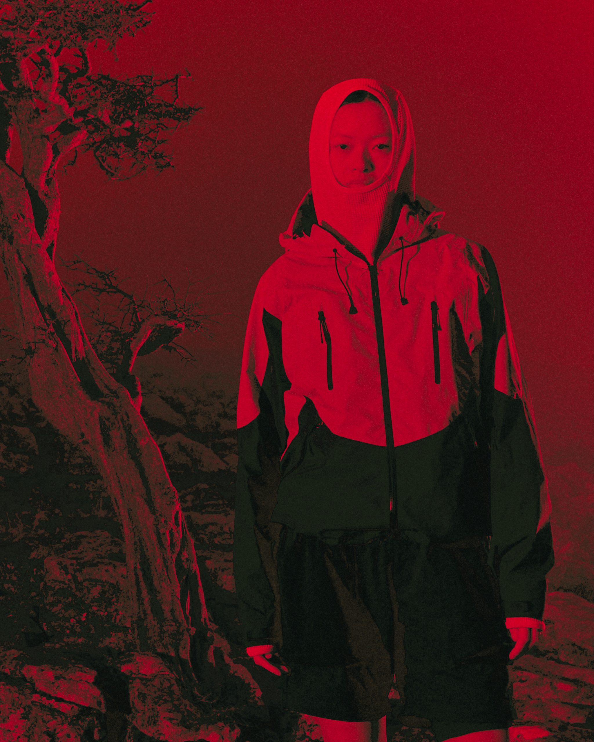 Brand Spotlight: Purple Mountain Observatory